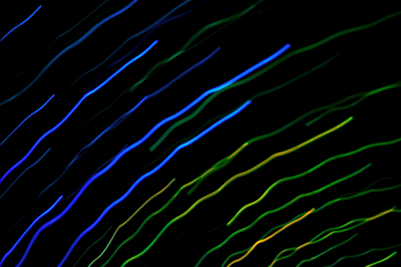 Composición abstracta de luces azules y verdes sobre fondo oscuro.